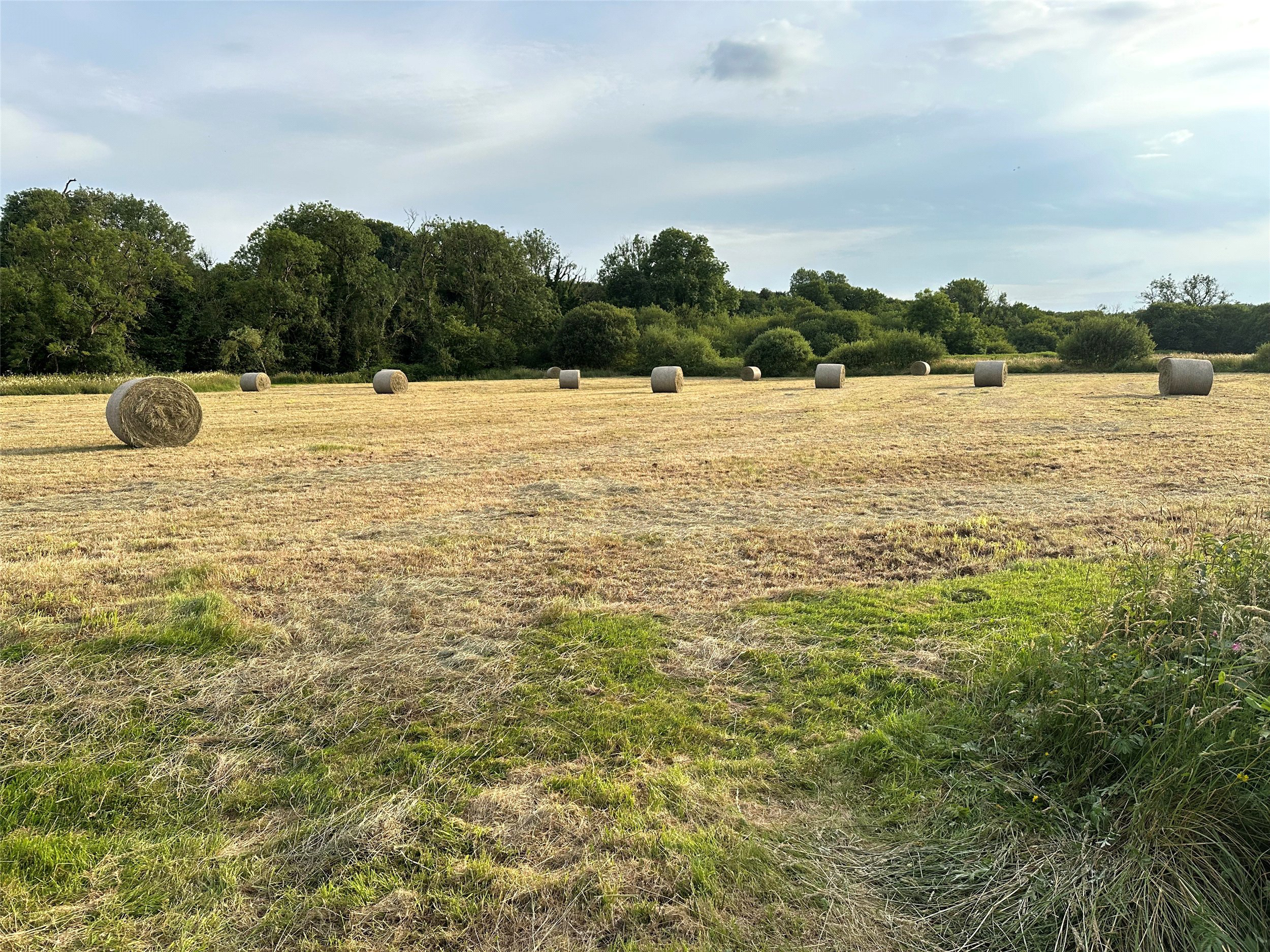 Photo 45