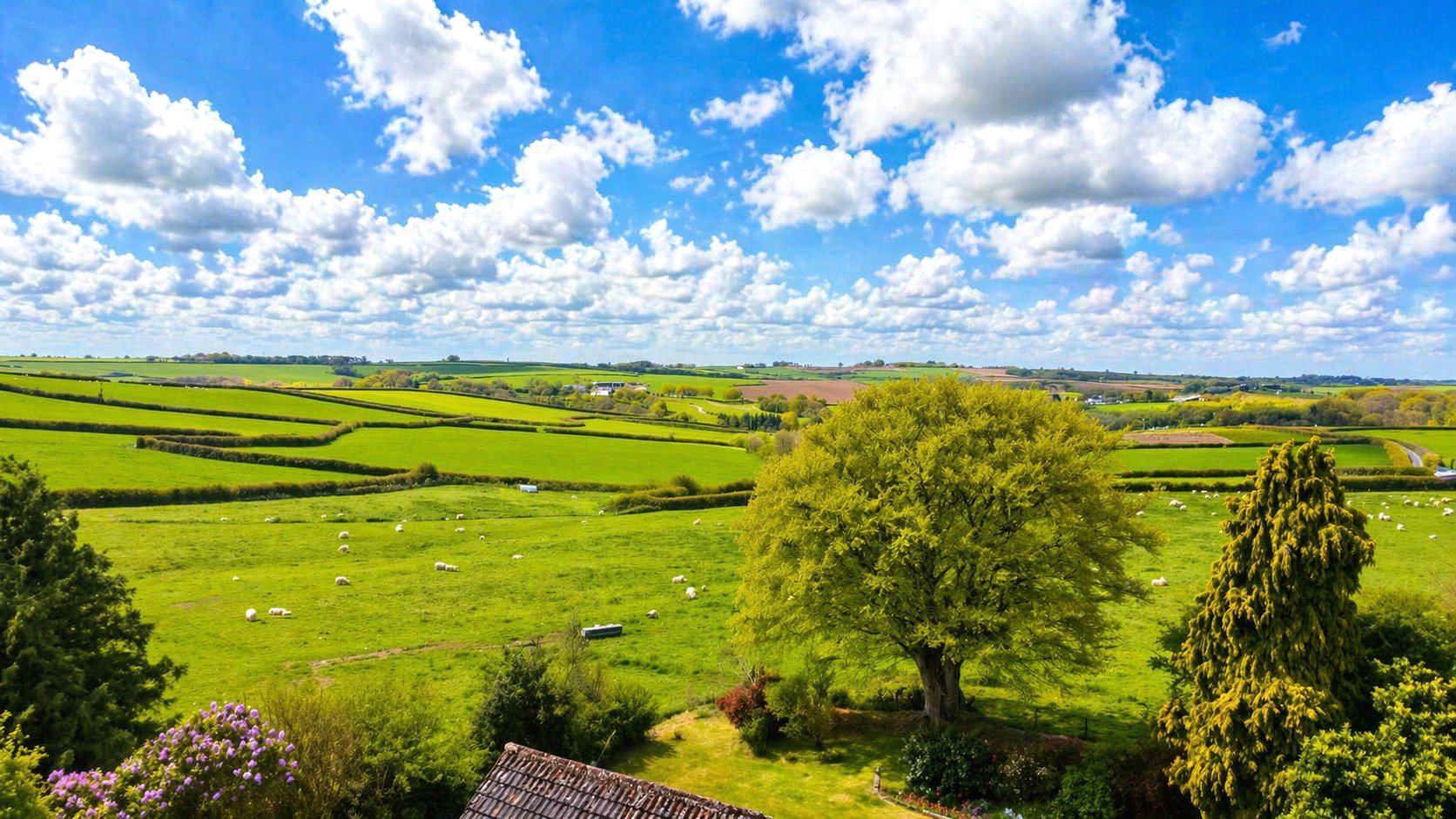 High Bickington, Umberleigh, Devon, EX37, photo 10