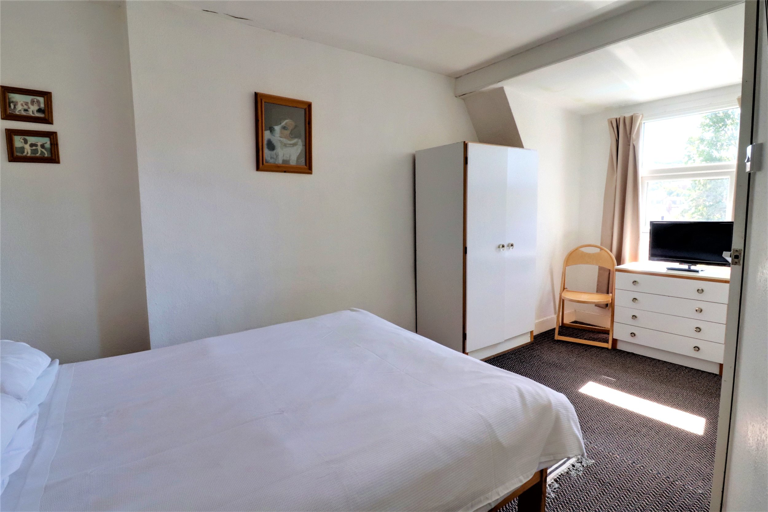 Torrs Park, Ilfracombe, Devon, EX34, photo 20