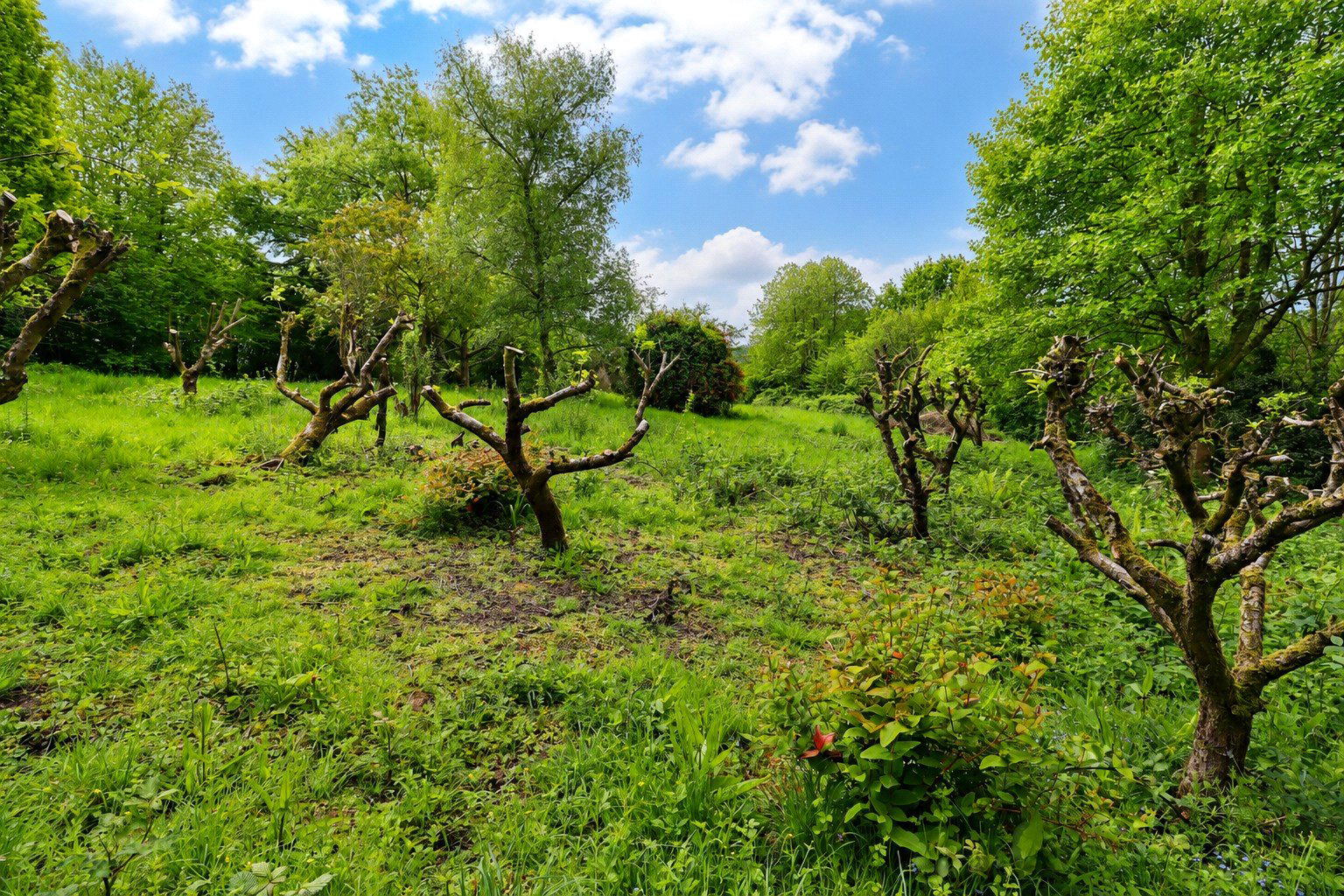 Umberleigh, Devon, EX37, photo 10