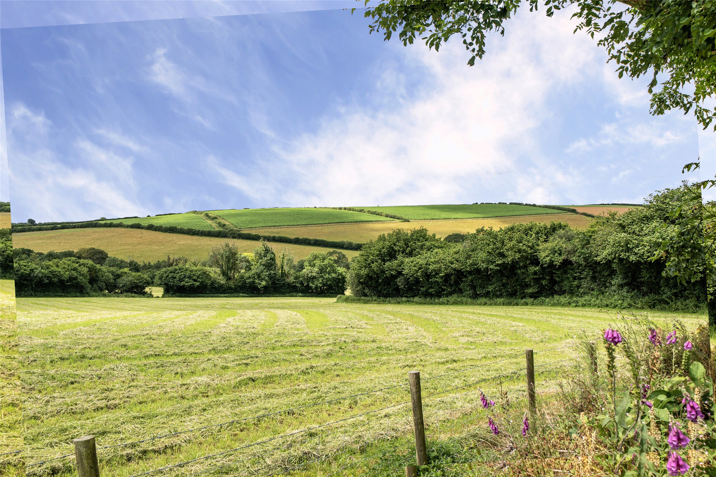 Blisland, Bodmin, Cornwall, PL30, photo 38
