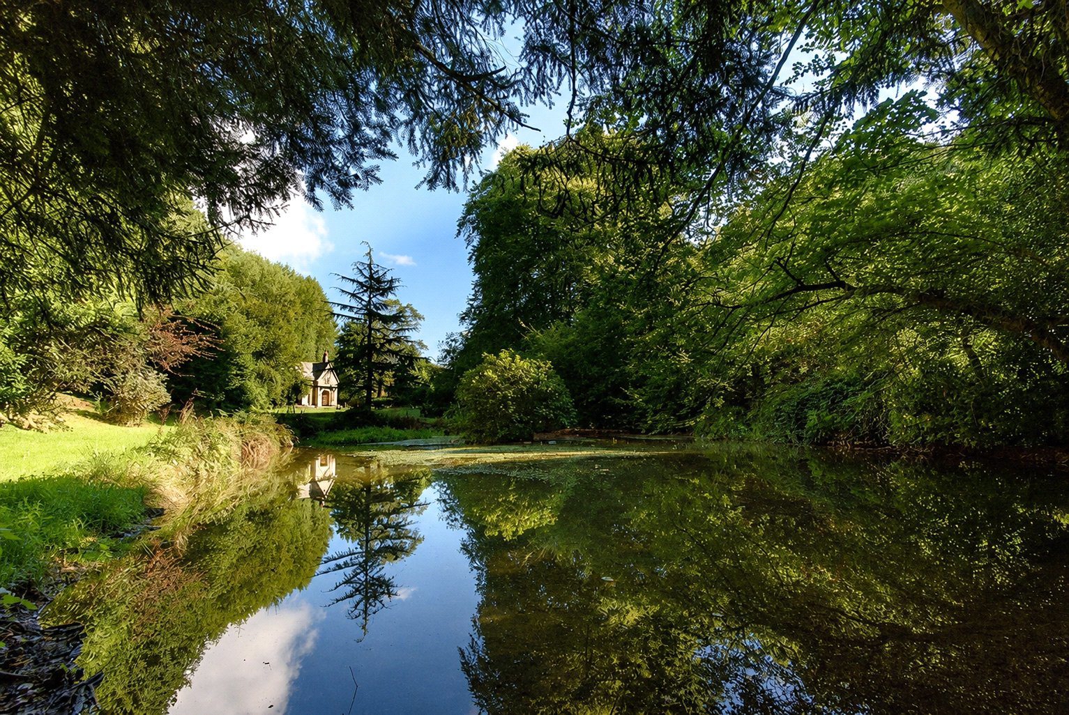Moorswater, Cornwall, PL14, photo 23