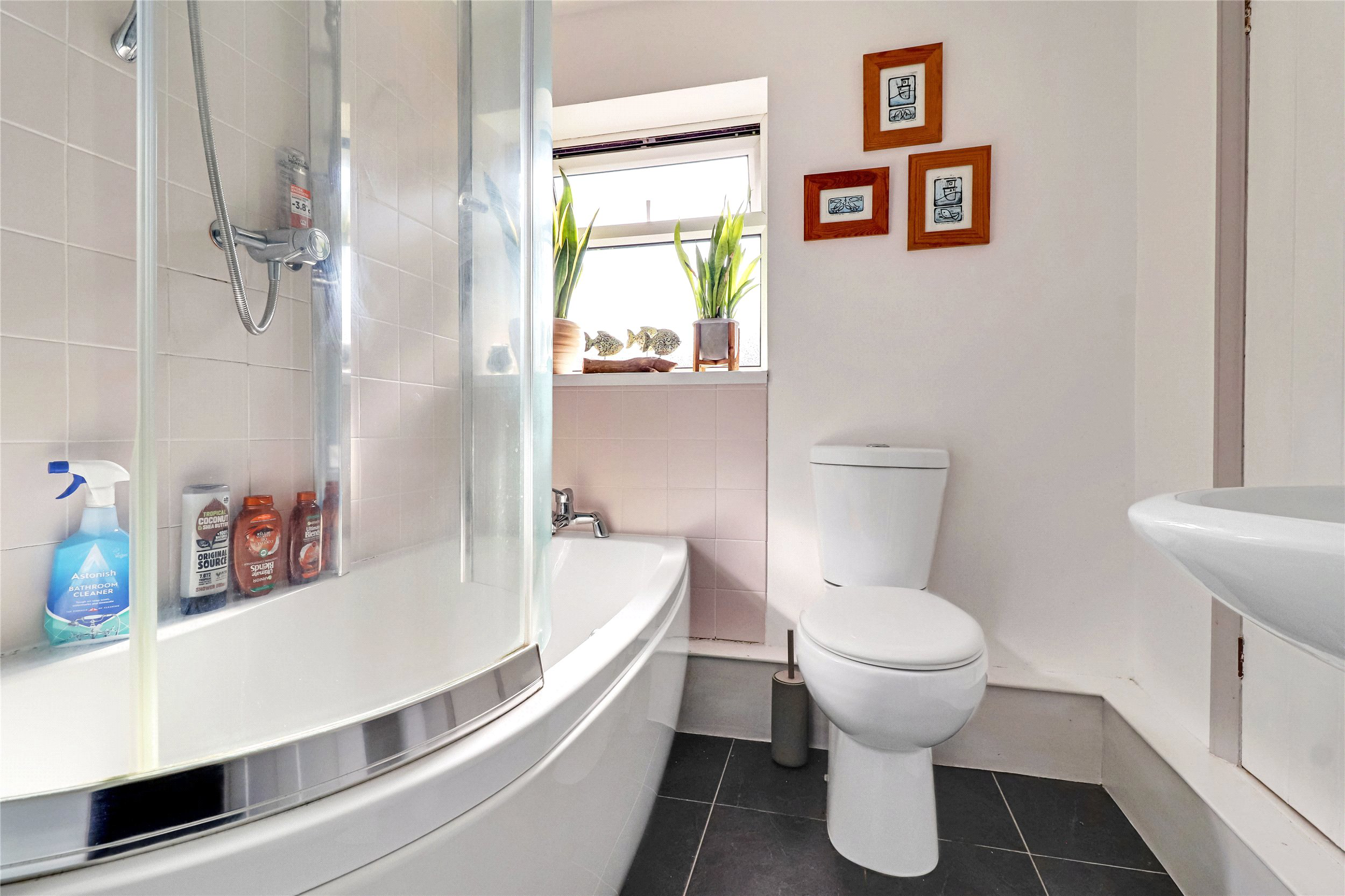 Raleigh Road, Barnstaple, Devon, EX31, photo 14