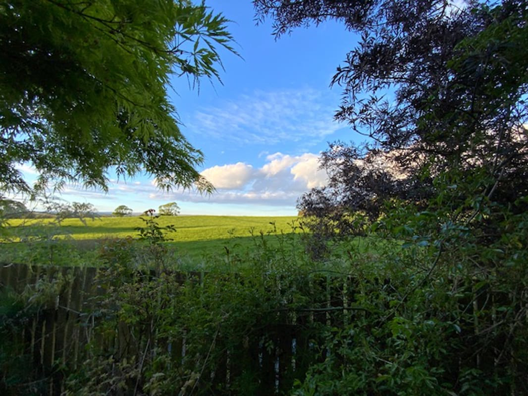 Stanley Road, Brampton, CA8, photo 22