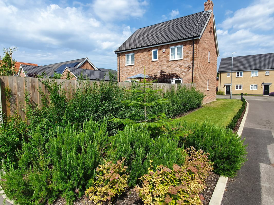 Talbot Road, Laxfield, IP13, photo 32