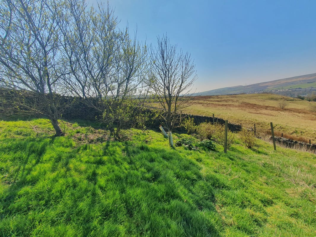 Lobden, Whitworth, OL12, photo 20