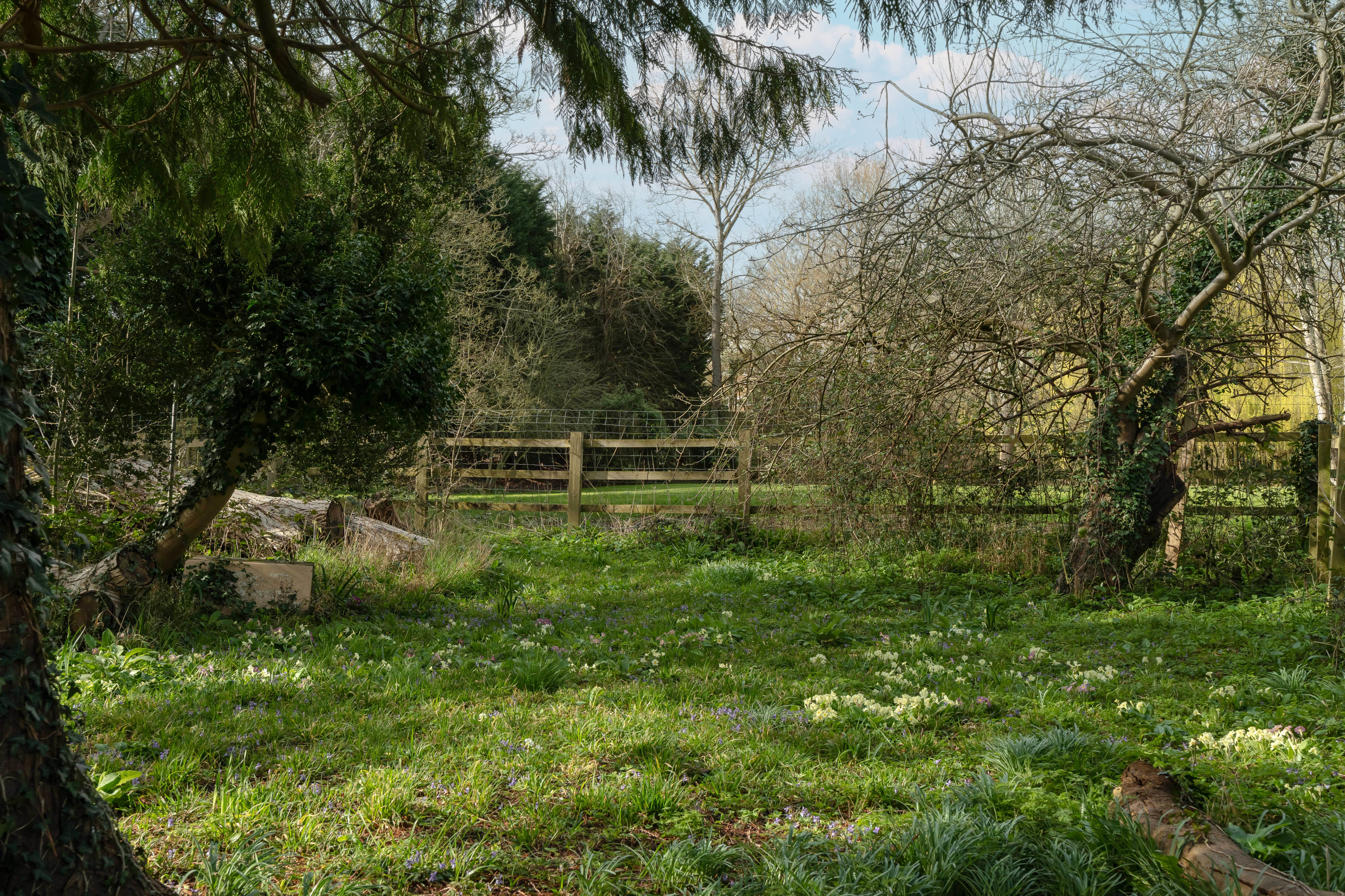 Kiln Lane, Wheatley, OX33, photo 8
