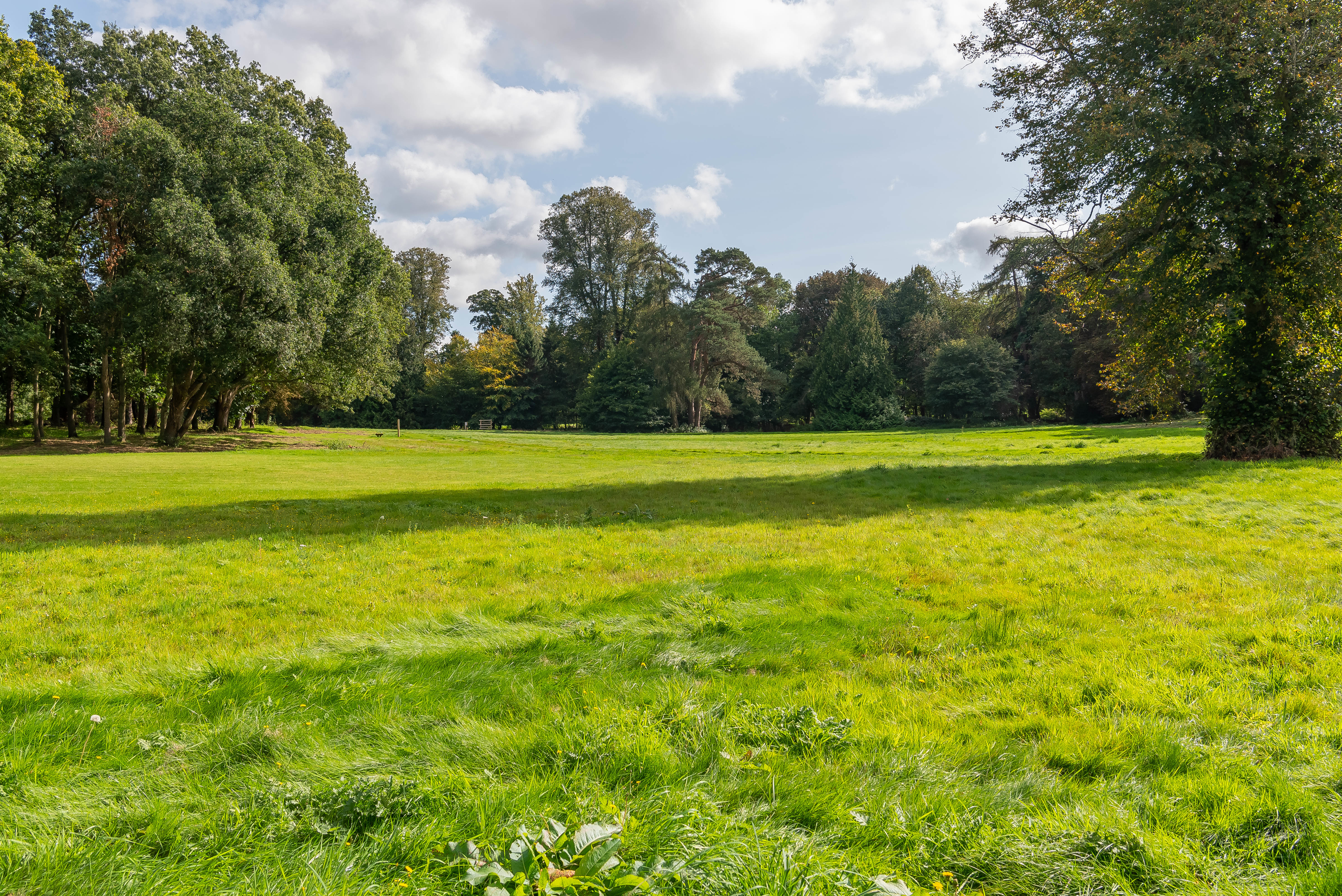 Grounds
