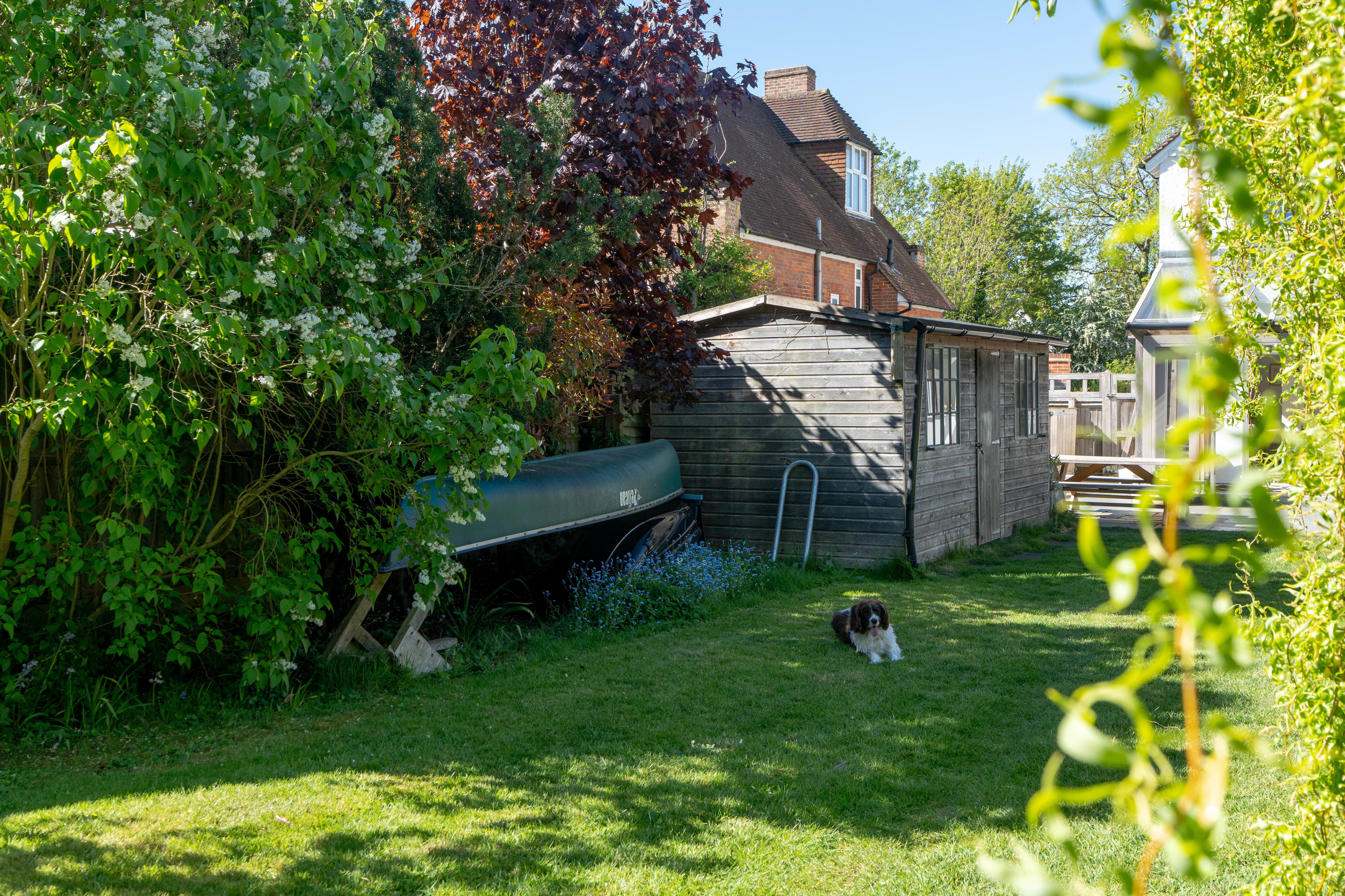 Photo 22