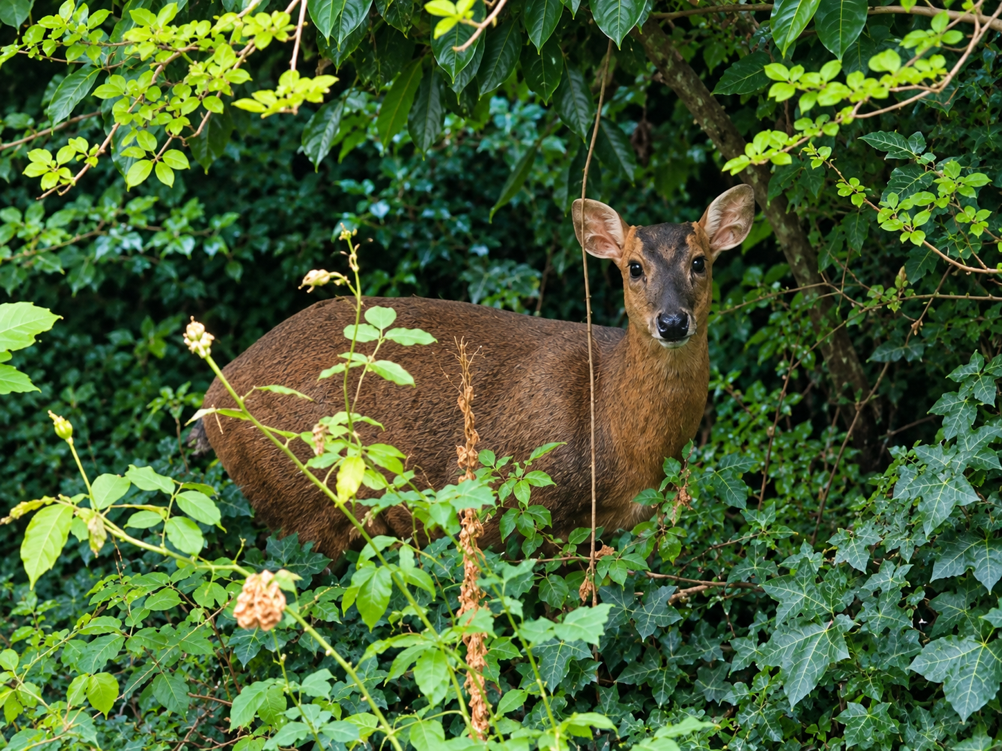 Pullens Lane, Headington, OX3, photo 5