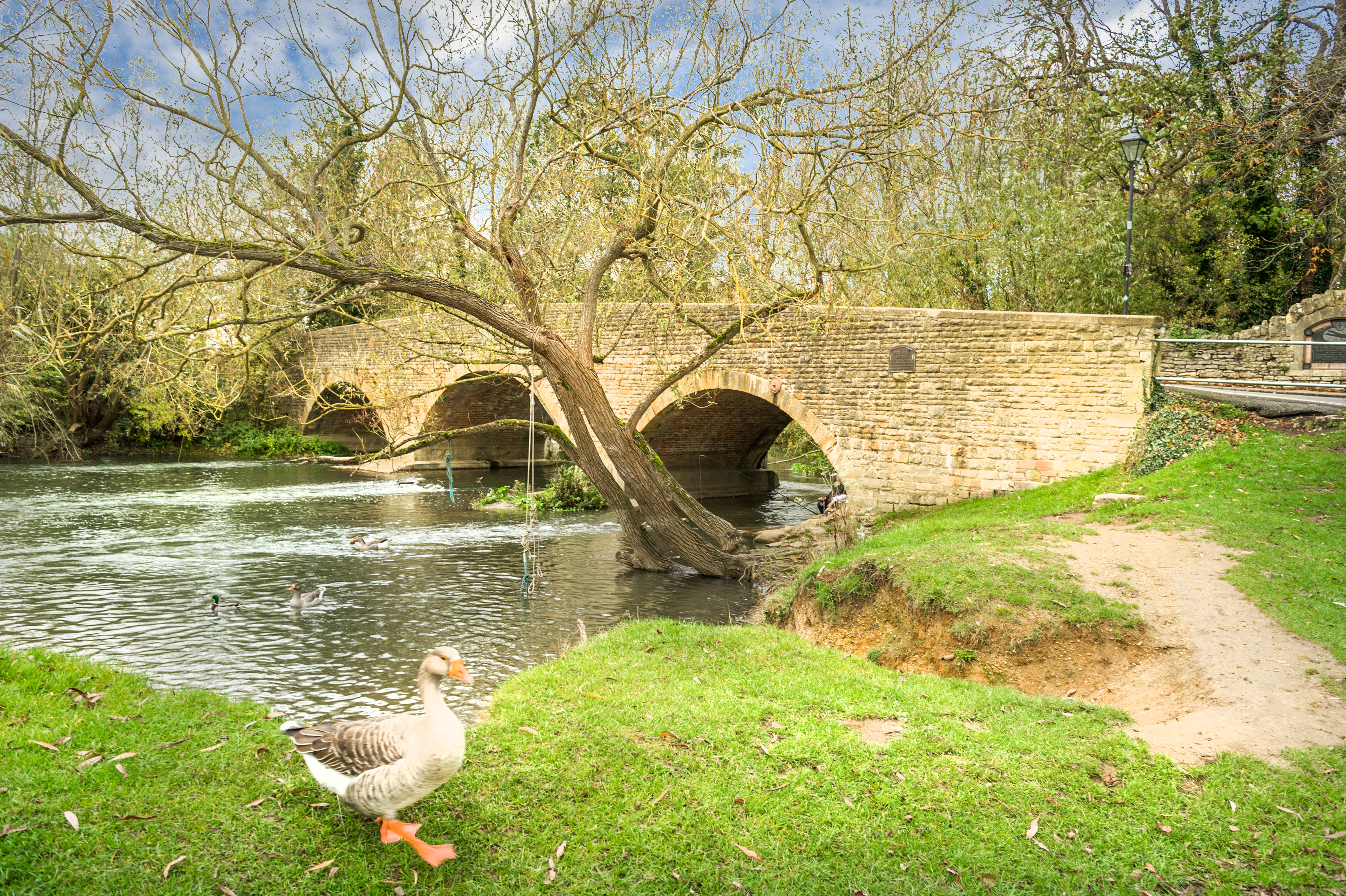 Godstow Road, Wolvercote, OX2, photo 17