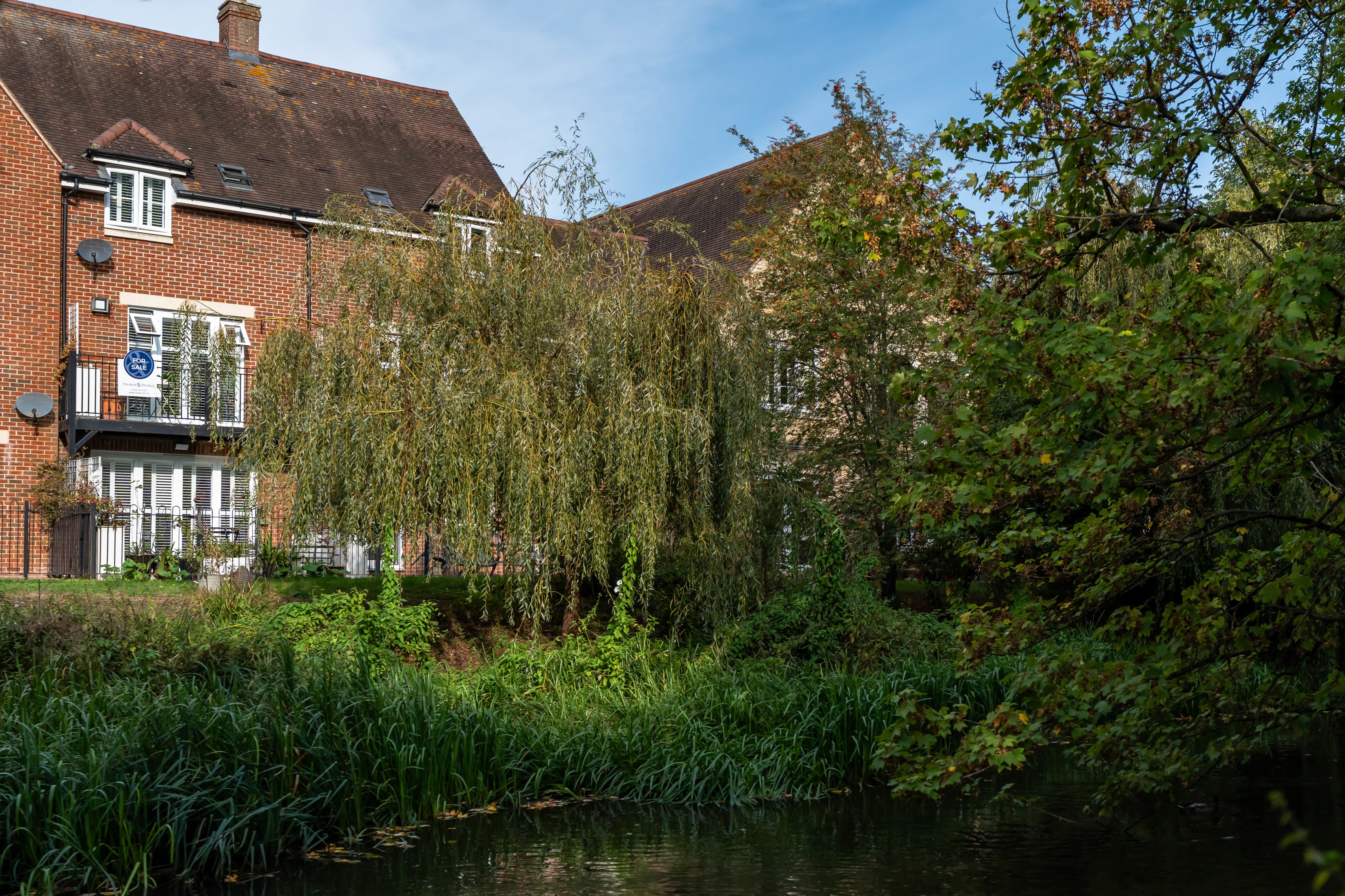 Thames View, Abingdon, OX14, photo 21