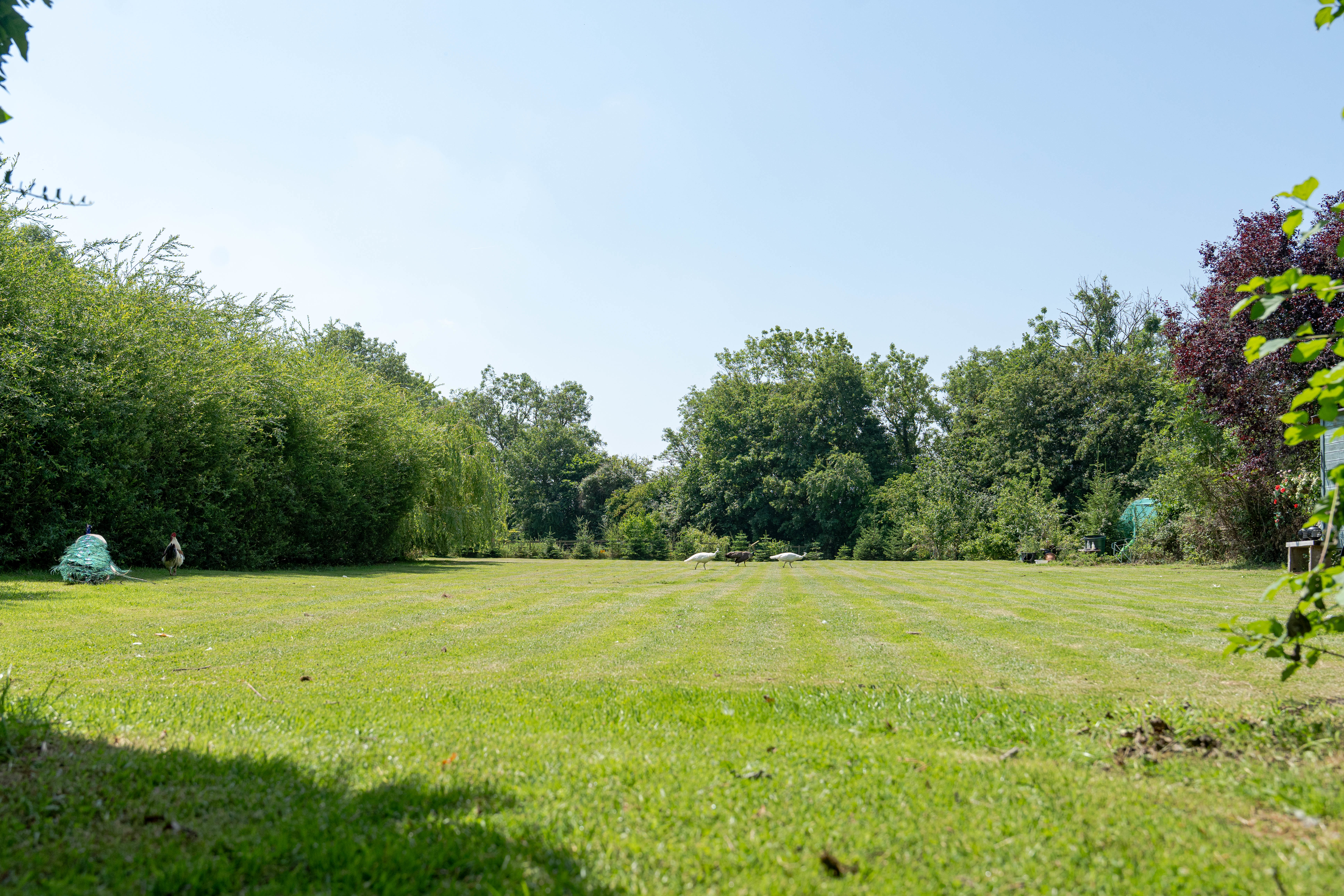 Canal Road, Thrupp, OX5, photo 22