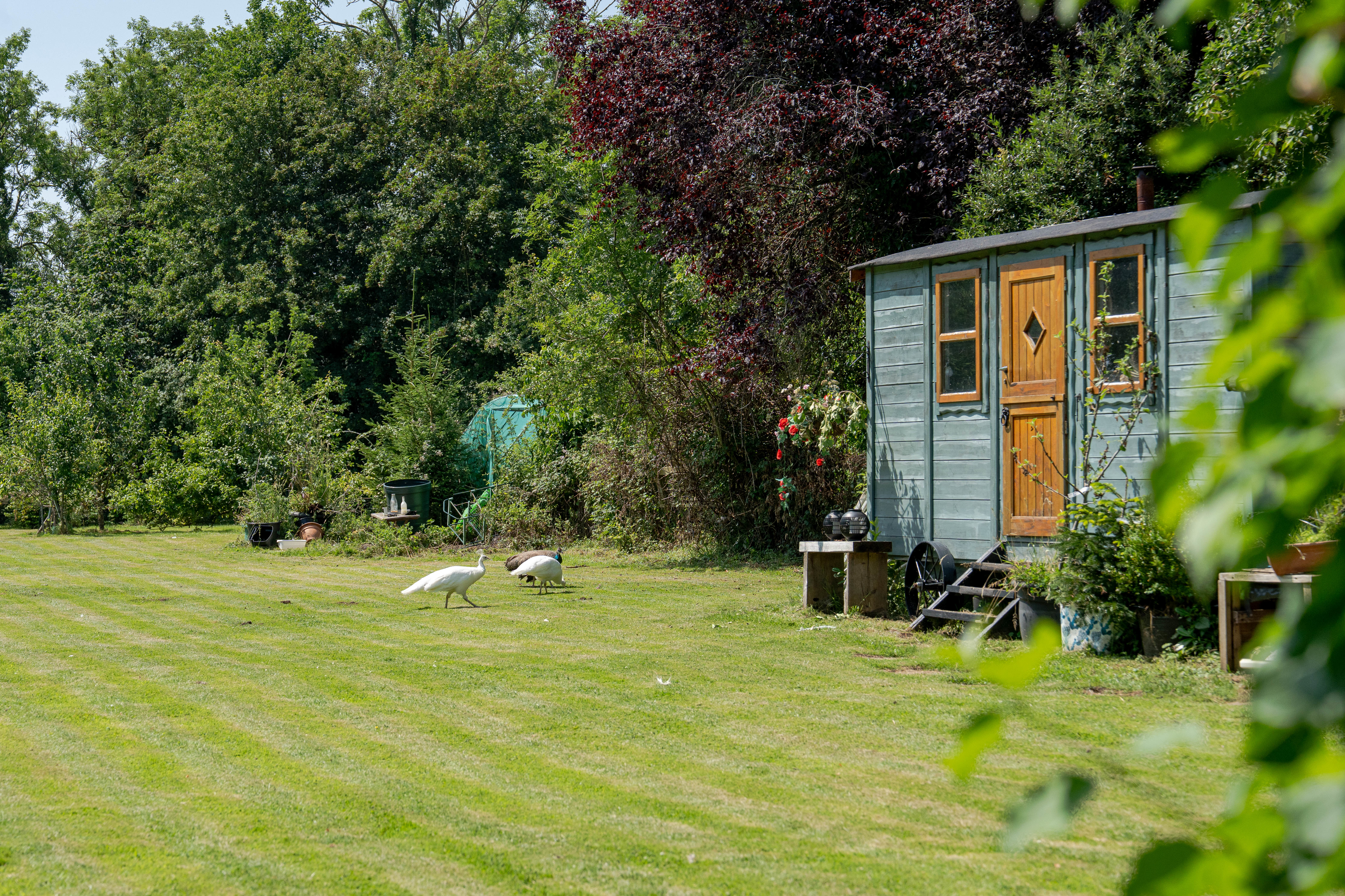 Canal Road, Thrupp, OX5, photo 24