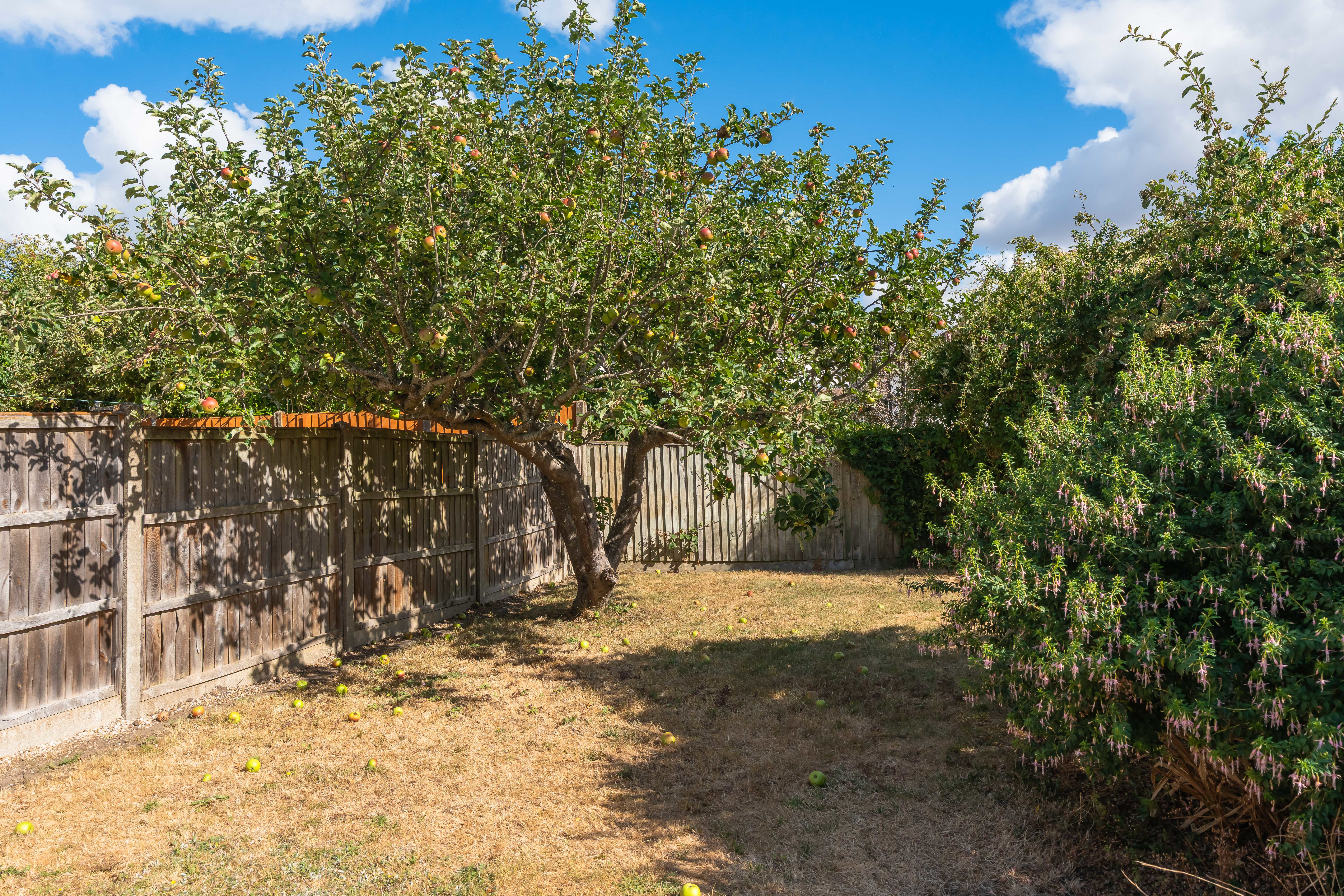 Bartholomew Road, Oxford, OX4, photo 12
