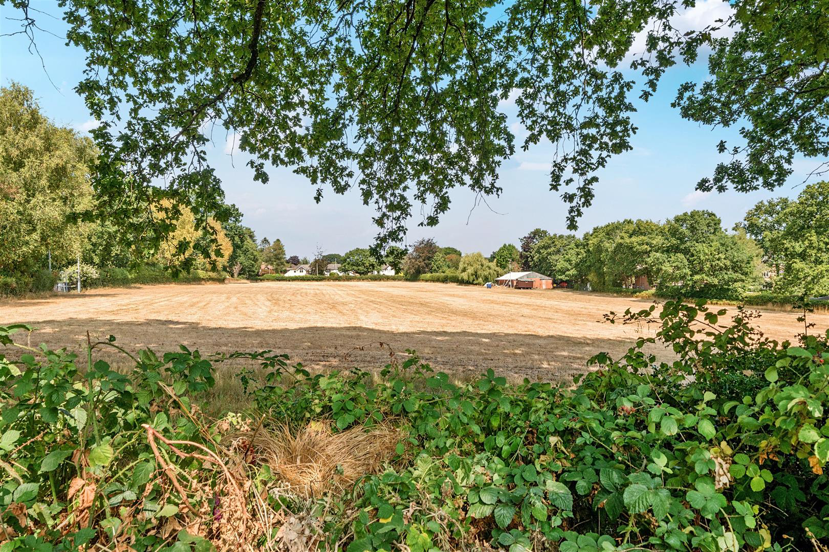 Aggis Farm, Verwood, photo 17