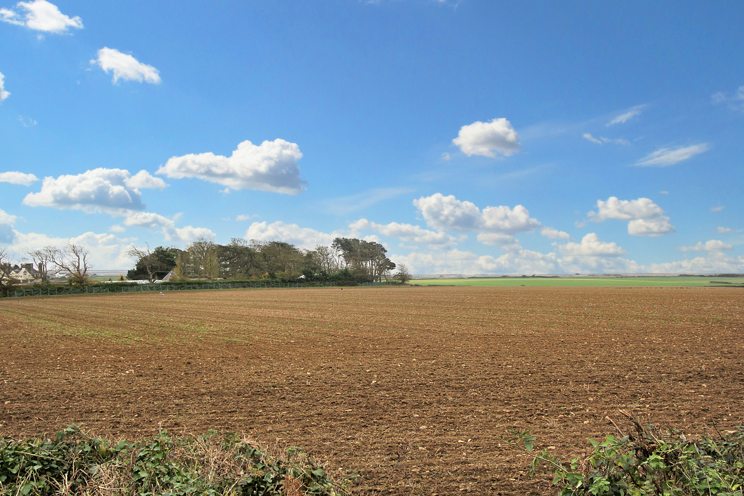 Photo 48