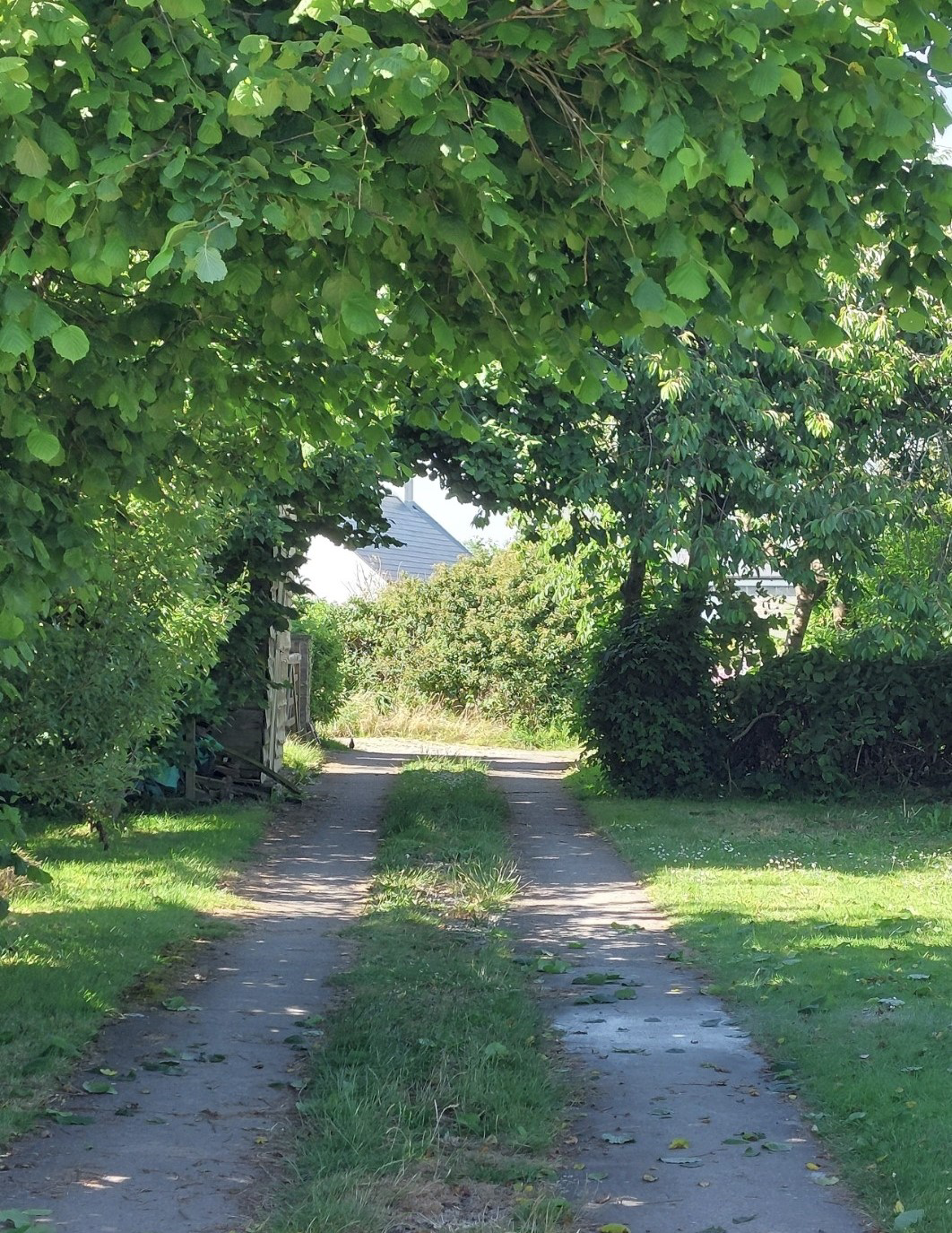Photo 46