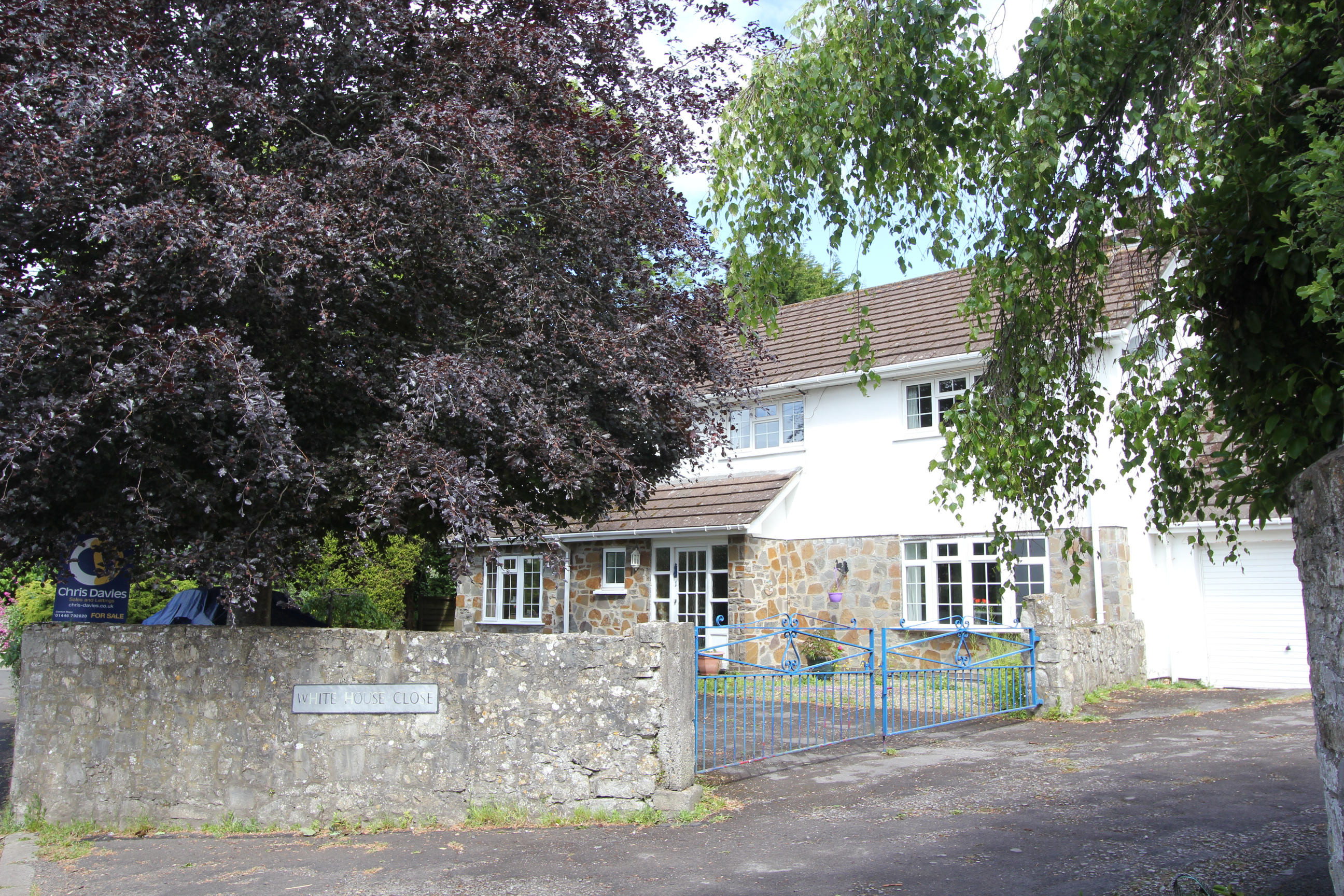 Photo 41