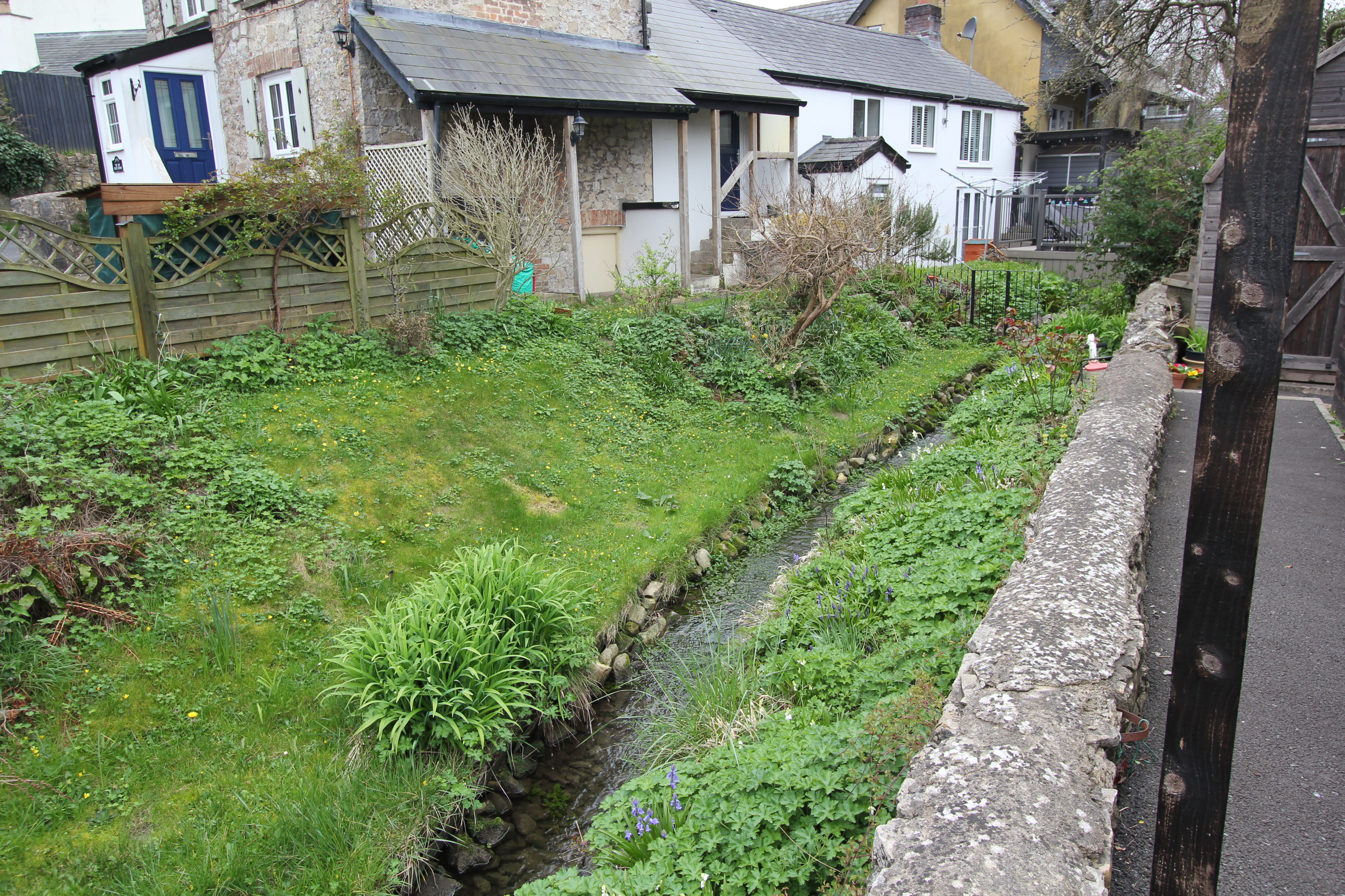 Photo 42