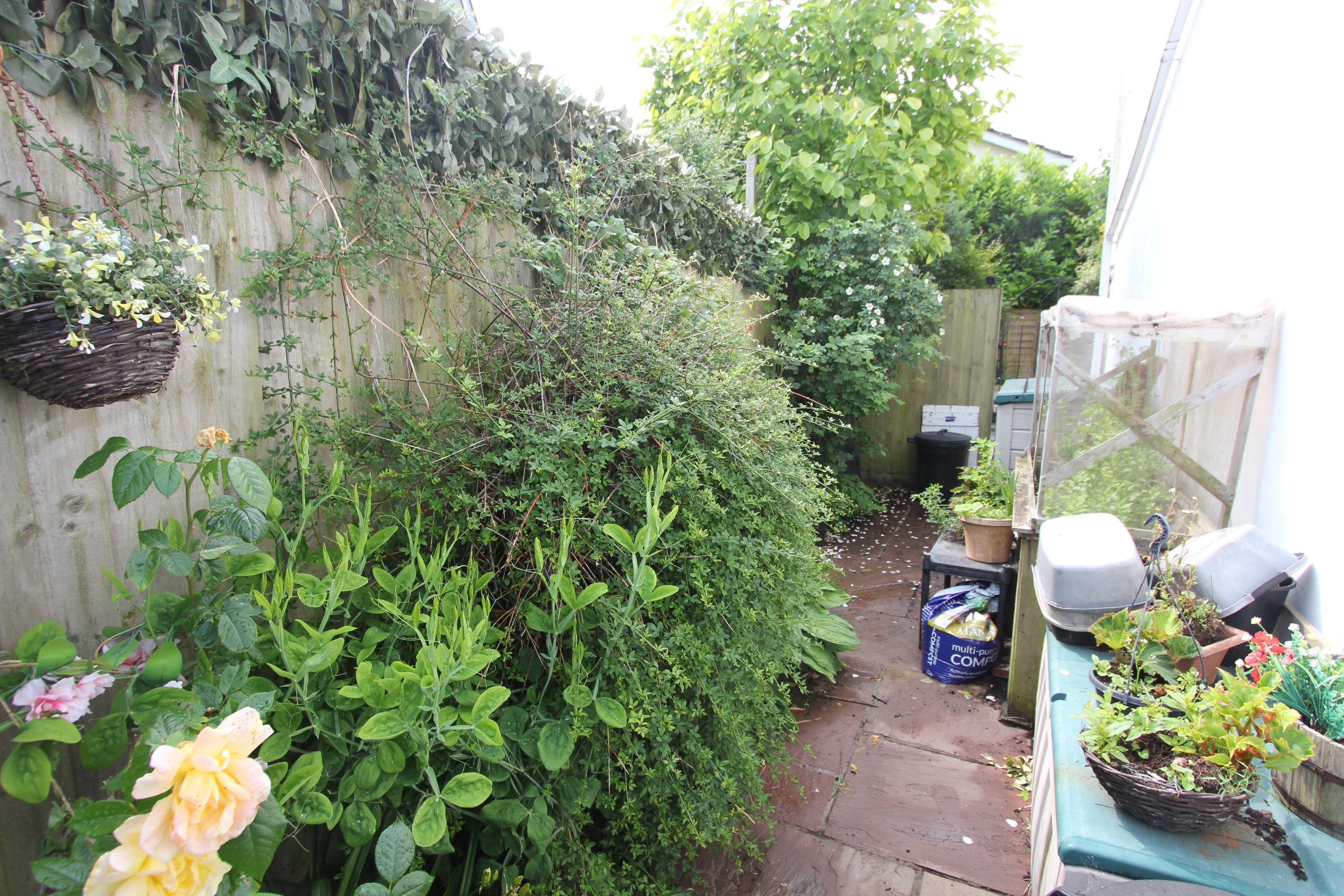 Photo 31