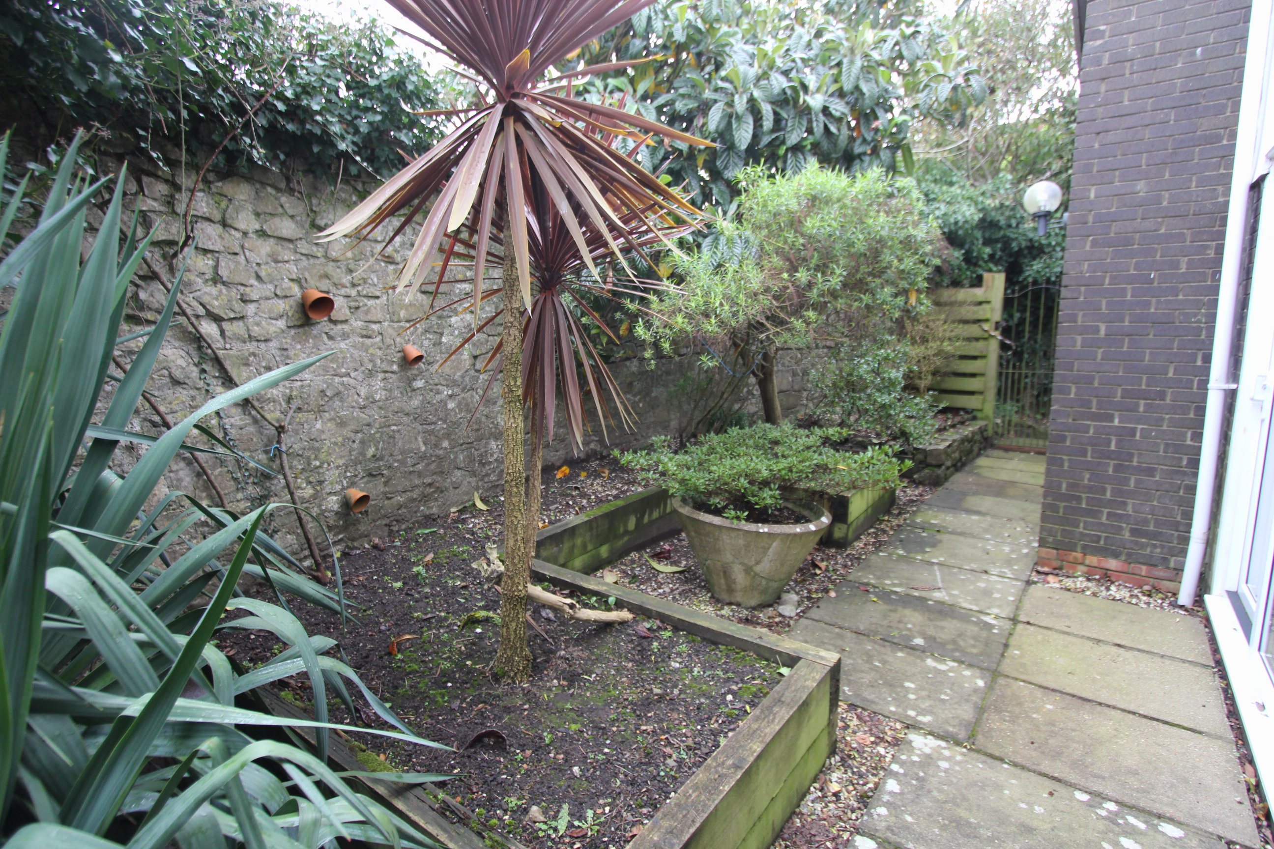Photo 29