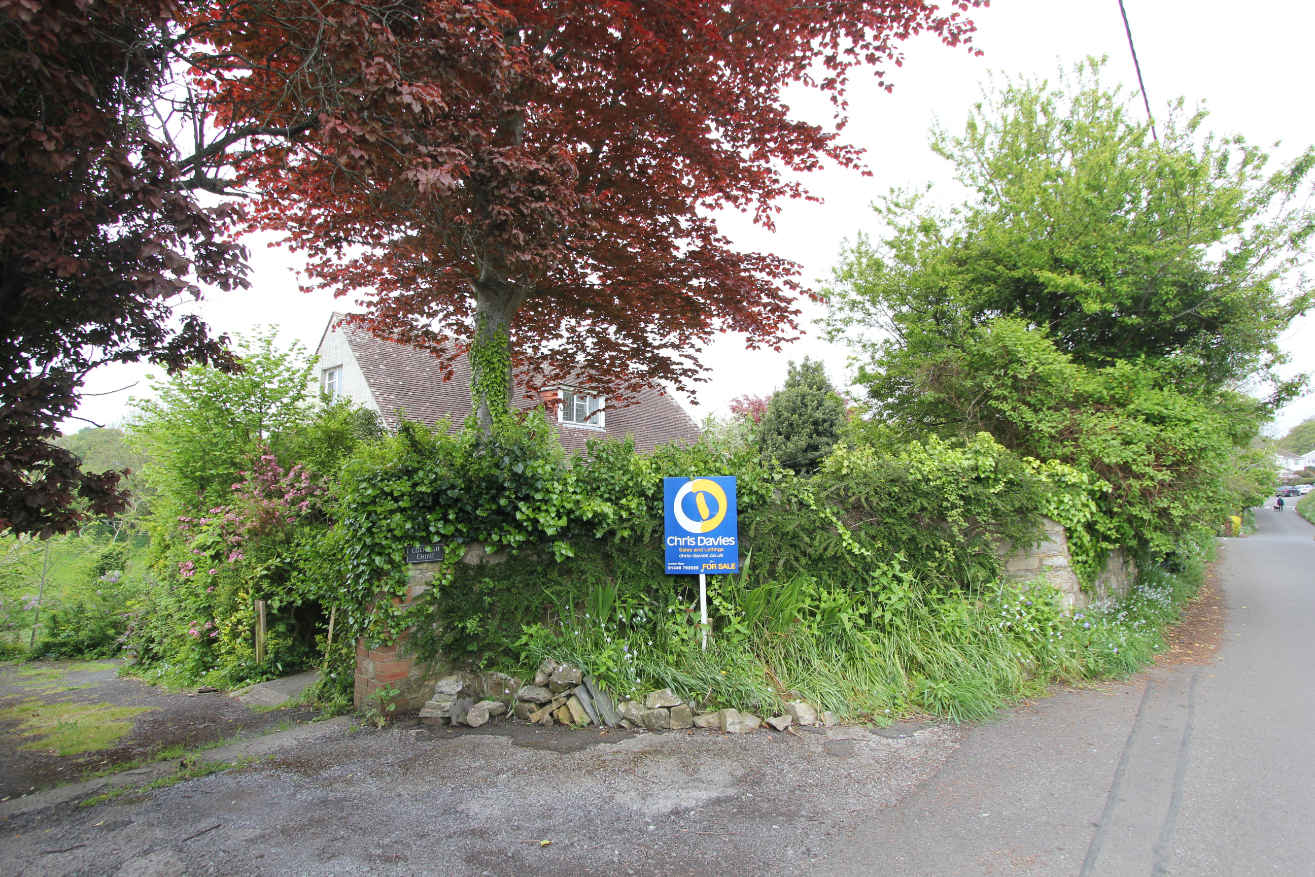 Photo 22