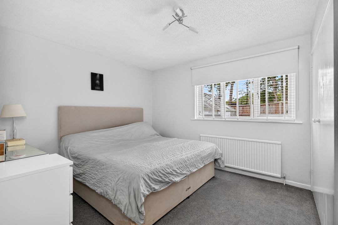 rushmerelarge21