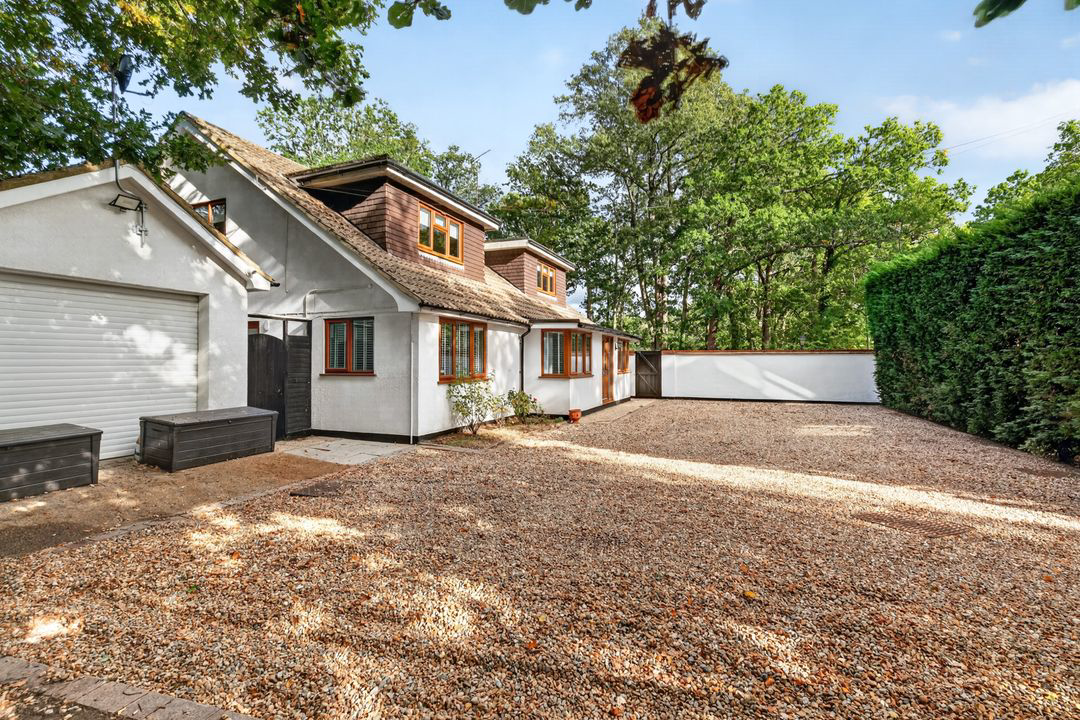 rushmerelarge5