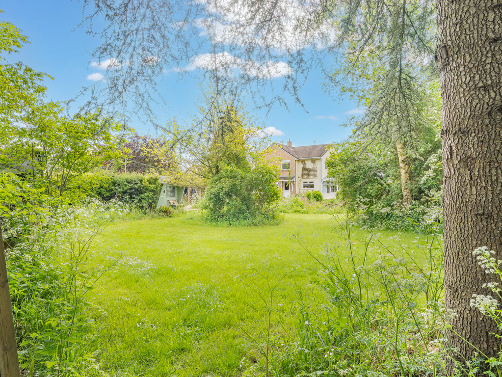 Claycastle, Haselbury Plucknett, photo 23