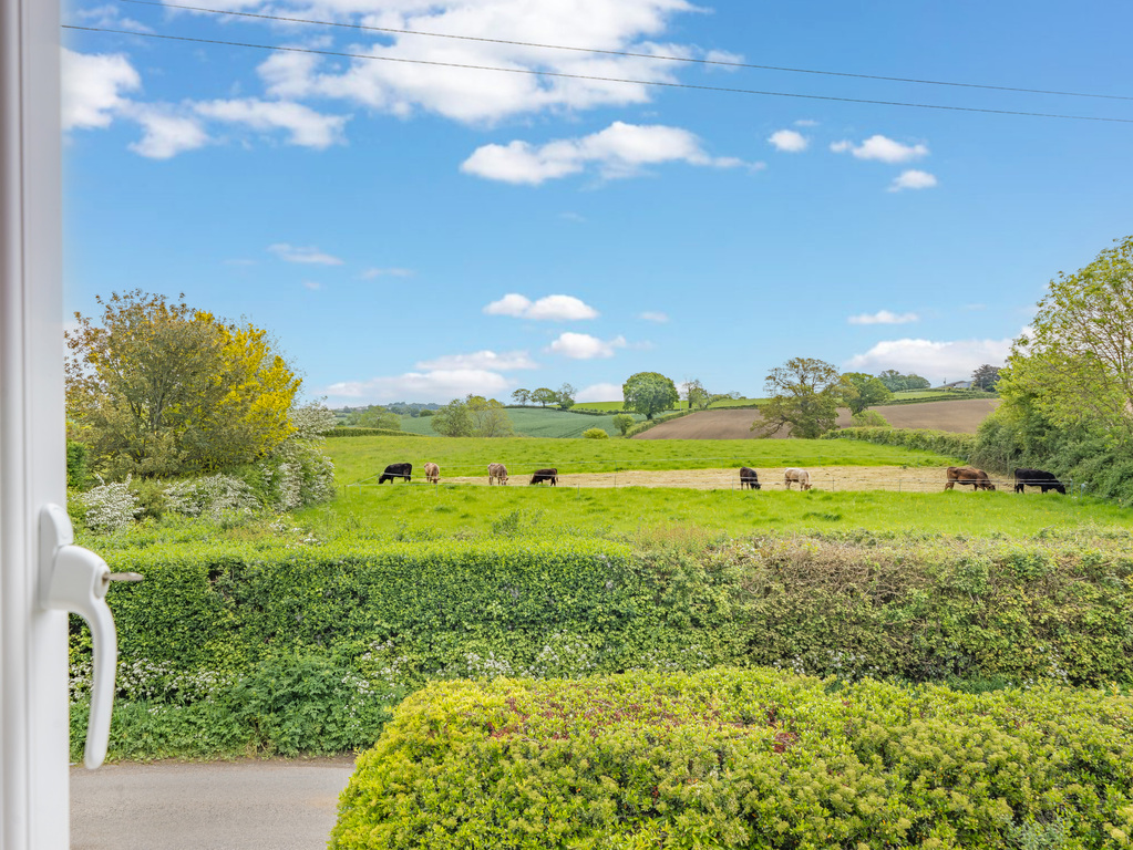 Claycastle, Haselbury Plucknett, photo 22