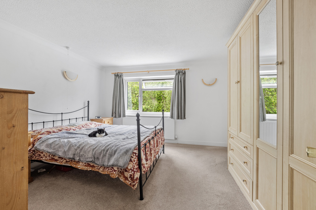 Claycastle, Haselbury Plucknett, photo 14