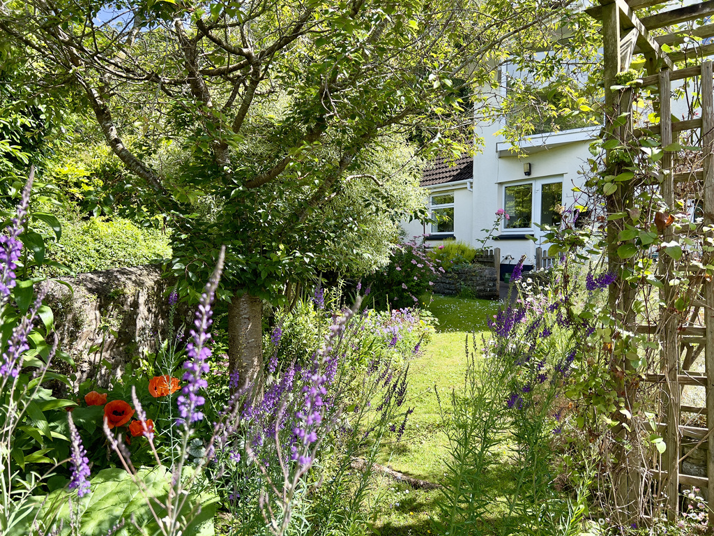 Byways, West Porlock, photo 13