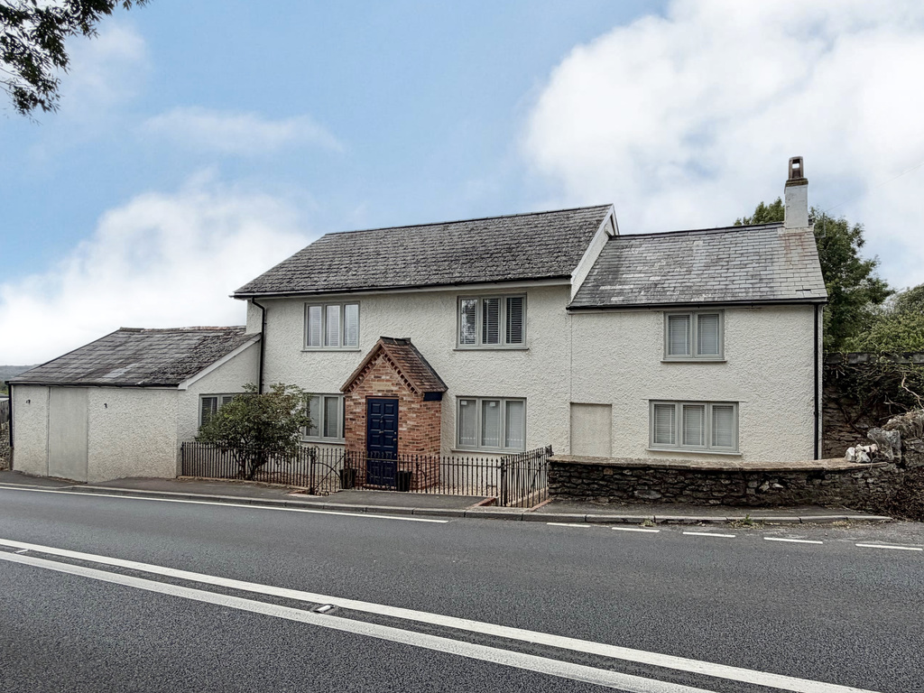 Newtown, Buckland St. Mary, photo 49