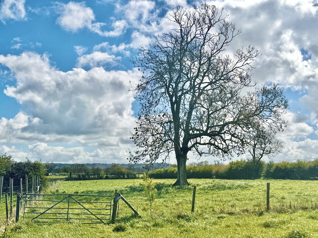 Standpitts Lane, Madjeston, Gillingham, SP8 5JH, photo 28