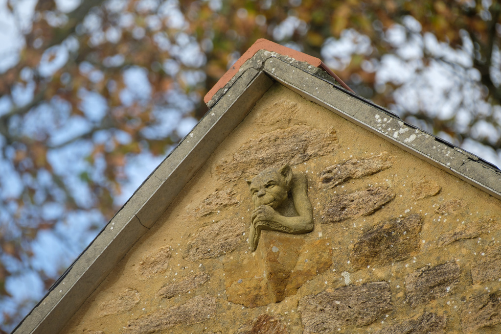 St. James Road, Netherbury, Bridport, Dorset, photo 22