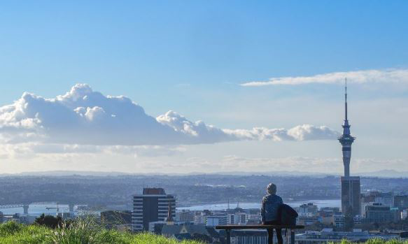 The Domain Collection, Auckland, New Zealand, photo 10