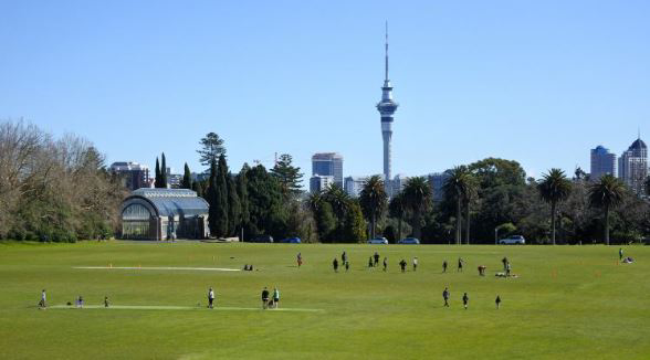 The Domain Collection, Auckland, New Zealand, photo 9