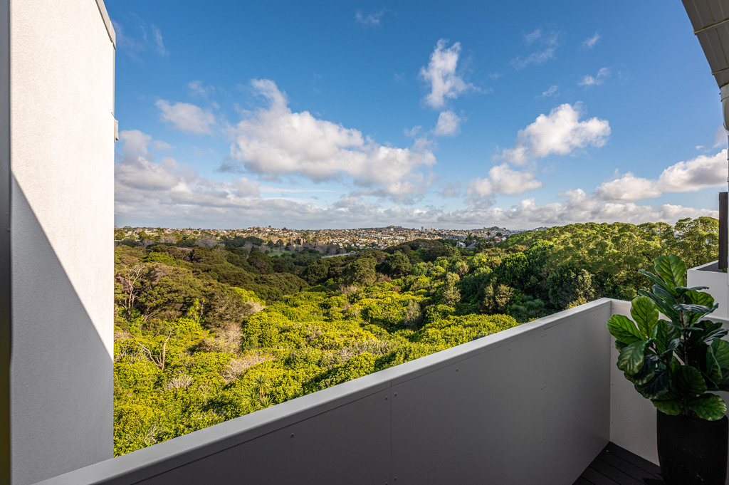 243 Kepa Road, Mission Bay, Auckland 1071, photo 7