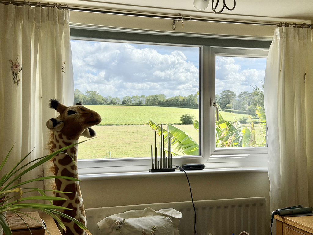 Woodlands Drive, Ruishton, photo 10