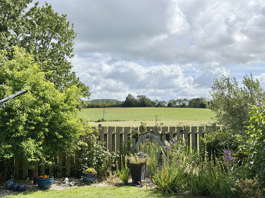 Woodlands Drive, Ruishton, photo 17