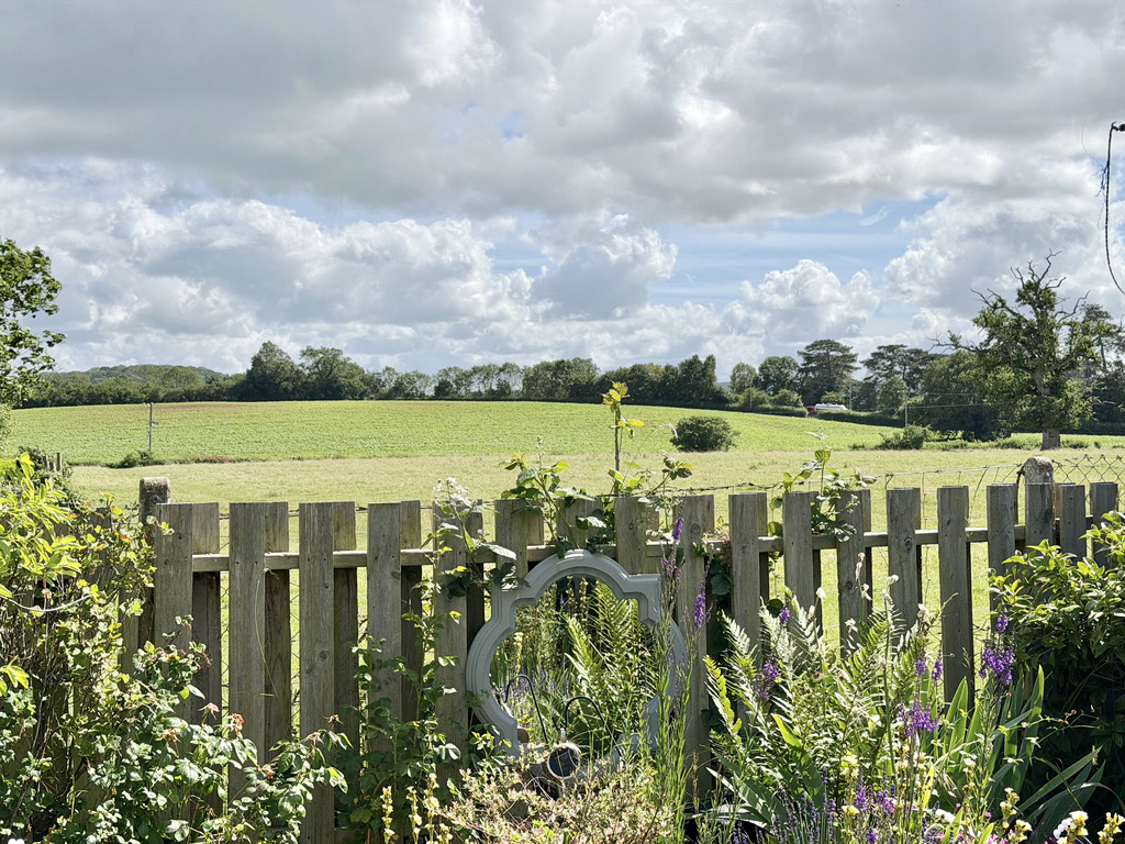 Woodlands Drive, Ruishton, photo 18