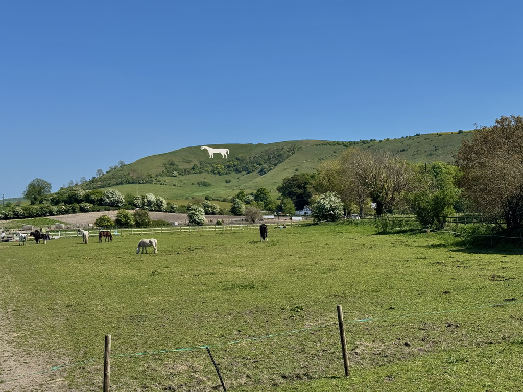 Cannon Green, Westbury, Wiltshire, photo 25