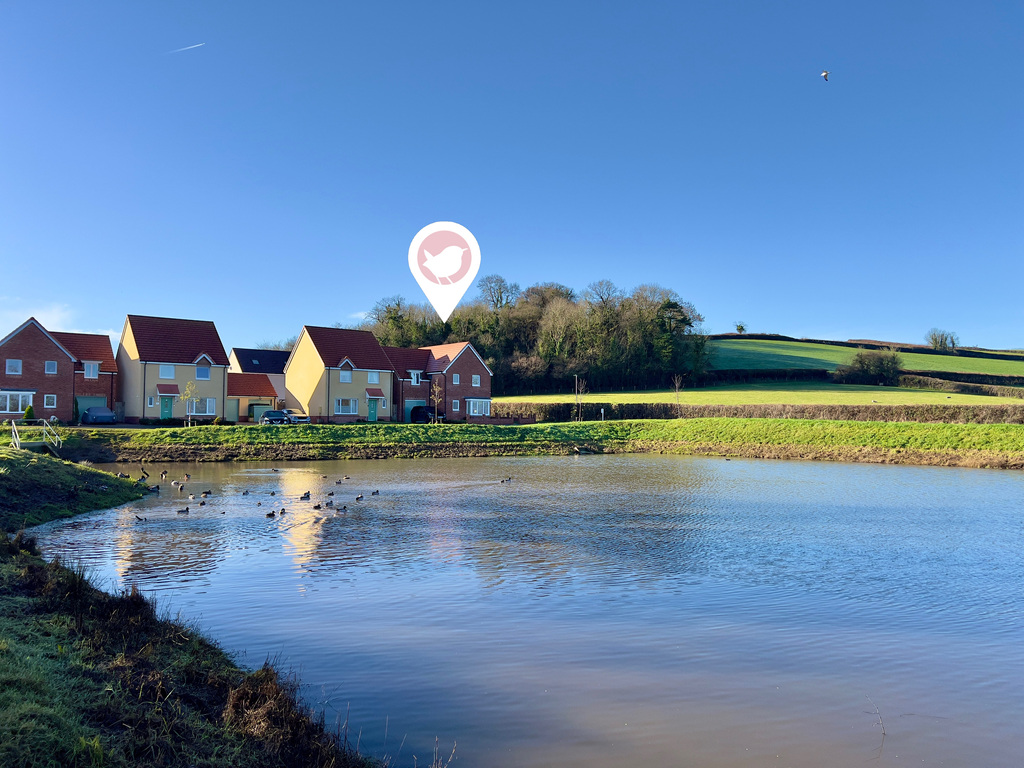 Allen Meadow Drive, Williton