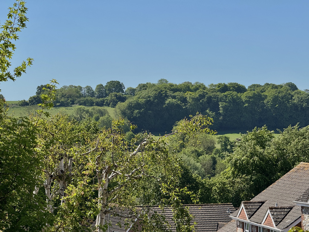 View From Bedroom