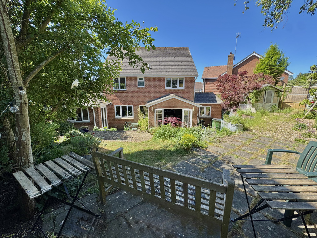 Rear Aspect