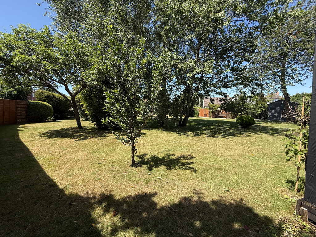 Photo 31