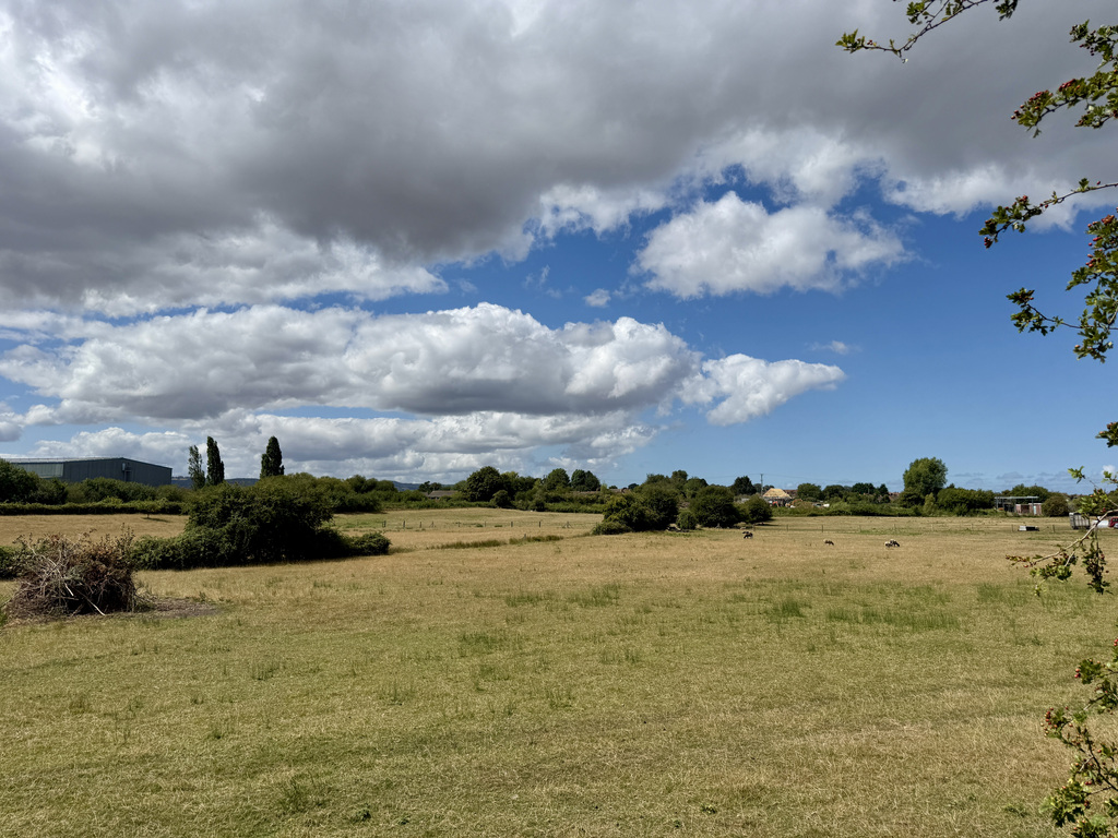 Old Basin, Bridgwater, photo 7