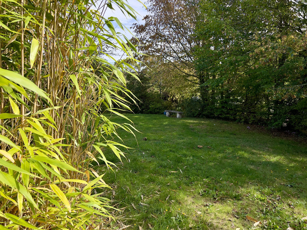 IDYLLIC THATCHED COTTAGE IN APPROXIMATELY ¾ OF AN ACRE - Hilltop Lane, Kilve, Somerset, photo 20