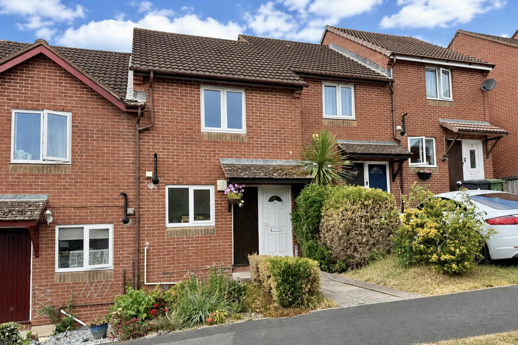 Cornflower Hill, Exeter